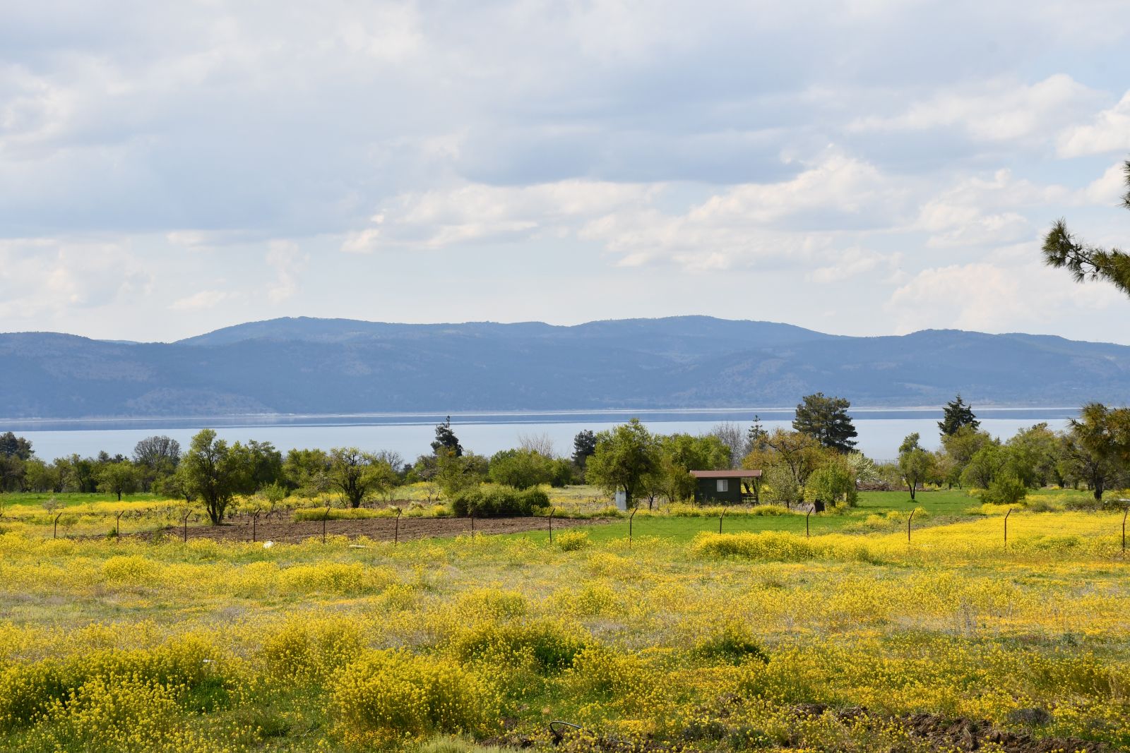 lavanta tepesi otel salda