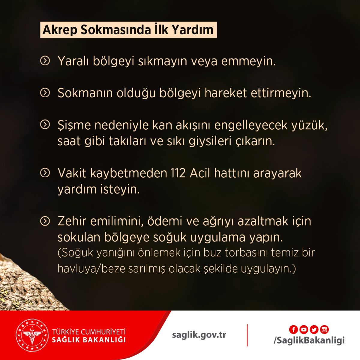 akrep sokmasında ilk yardım