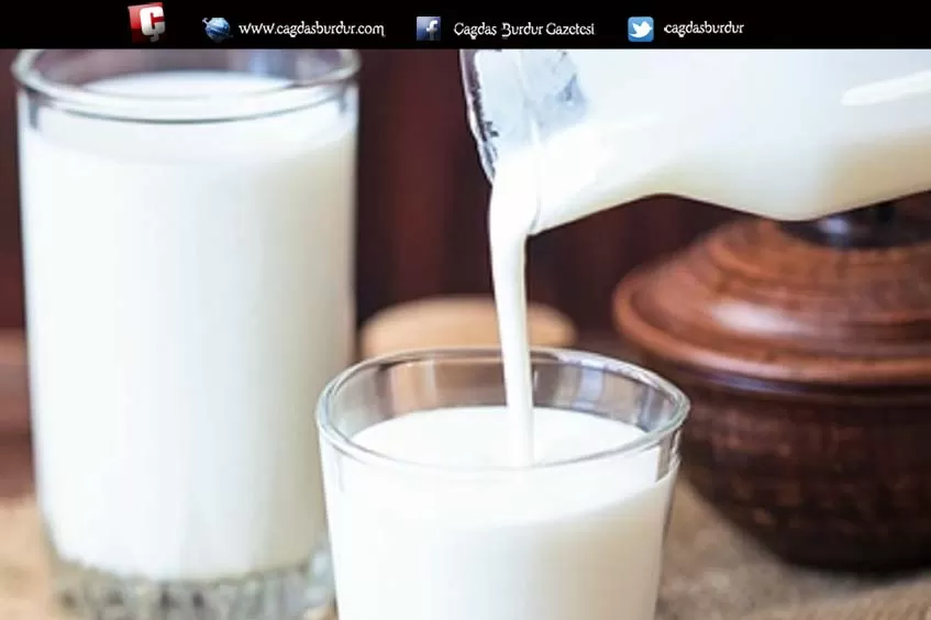 кислое молоко. заквашенное молоко. закваска кислого молока. закваска кислого молока. однодневный кефир.