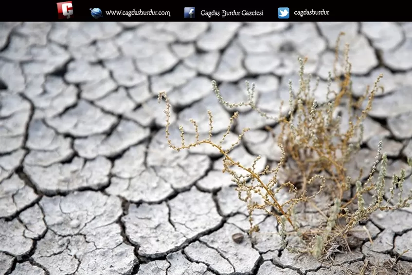 Türkiye'de arazilerin yüzde 45'i erozyon nedeniyle çölleşme riski altında bulunuyor