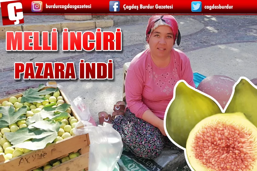 MELLİ İNCİRİ PAZARA İNDİ