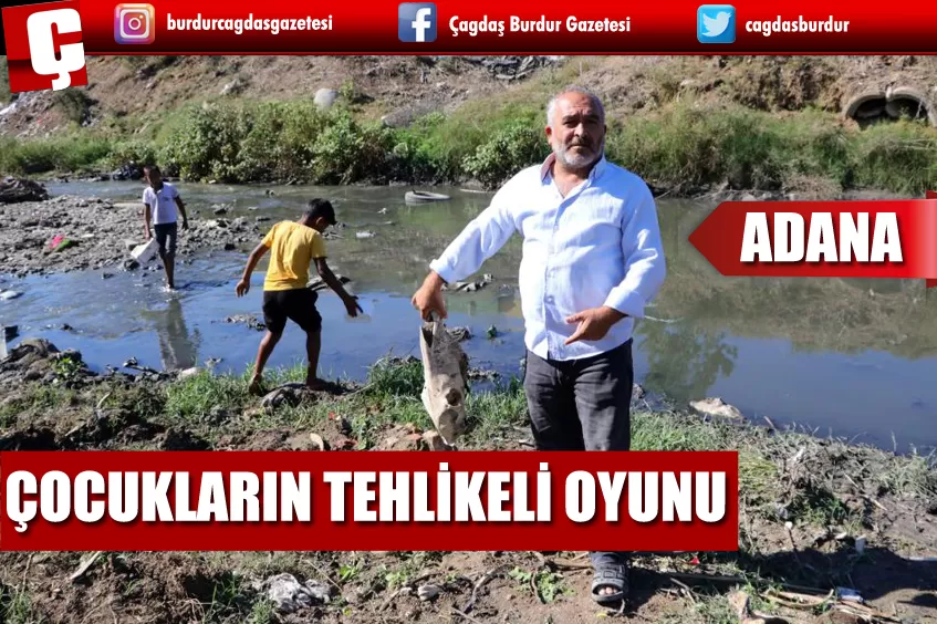 ADANA'DA AT KEMİKLERİ, ÖLÜ HAYVANLAR VE LAĞIM SUYU ARASINDA KURBAĞA AVI