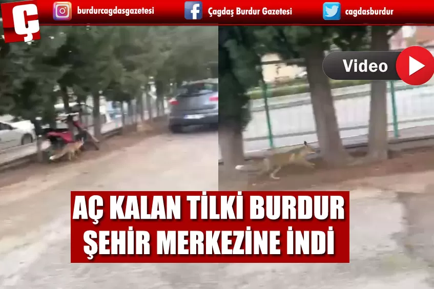 BURDUR DEVLET HASTANESİ'NDE SABAH SAATLERİNDE TİLKİ ALARMI