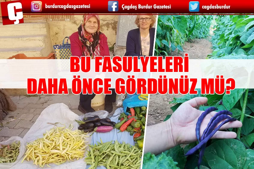 BU FASULYELERİ HİÇ GÖRDÜNÜZ MÜ?