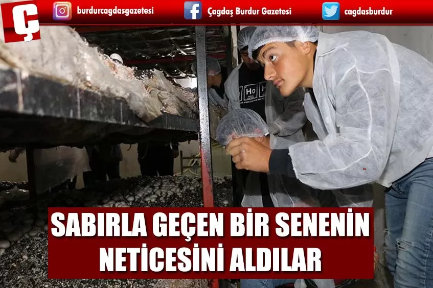 AMASYA'DA ÖĞRENCİLER KENDİ YETİŞTİRDİĞİ ÜRÜNLERİN HASADINI YAPTI