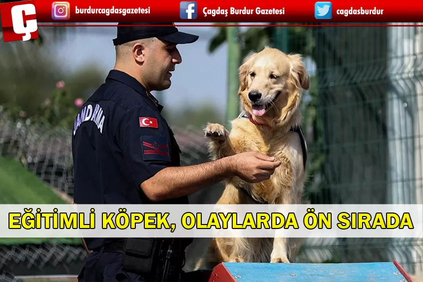 ÖZEL EĞİTİMLİ KÖPEĞE BÜYÜK GÖREV DÜŞÜYOR