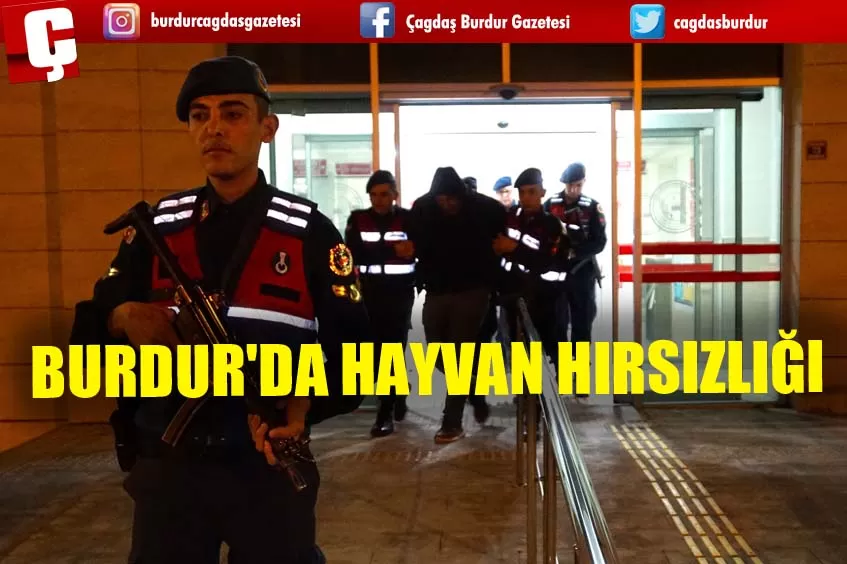 BURDUR'DA HAYVAN HIRSIZLIĞI 