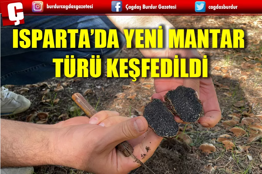 ISPARTA'DA YENİ BİR MANTAR TÜRÜ KEŞFEDİLDİ