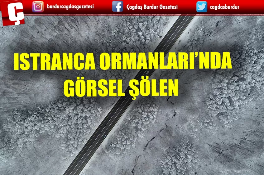  ISTRANCA ORMANLARI HAVADAN GÖRÜNTÜLENDİ