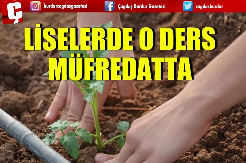 LİSELERDE O DERS MÜFREDATTA 