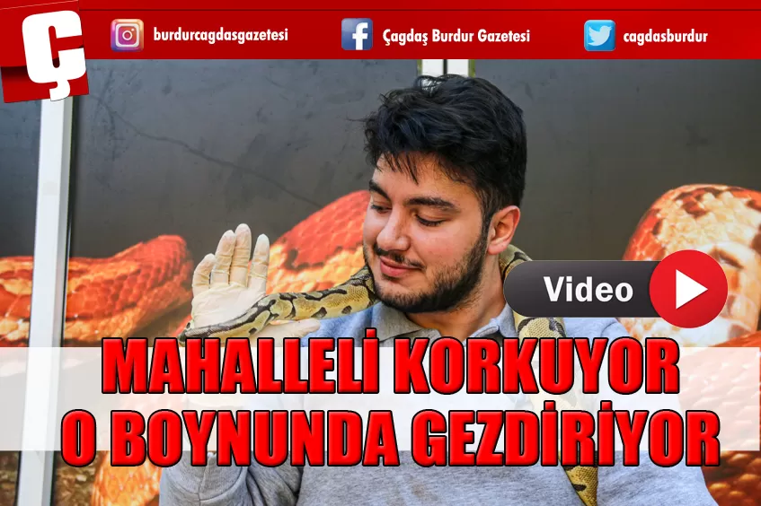 MAHALLELİ KORKUYOR O BOYNUNDA GEZDİRİYOR
