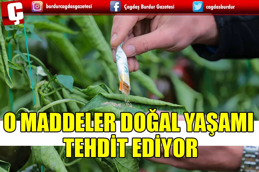 MİKRO KİRLETİCİLER VE ENDOKRİN BOZUCULAR DOĞAL YAŞAMA TEHDİT OLUŞTURUYOR