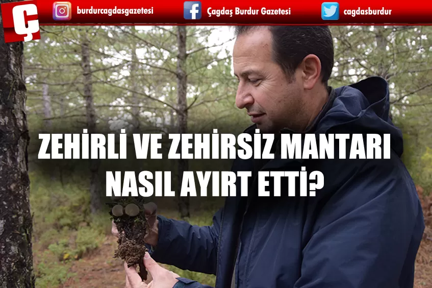 ZEHİRLİ VE ZEHİRSİZ KANLICA MANTARI NASIL AYIRT EDİLİYOR?