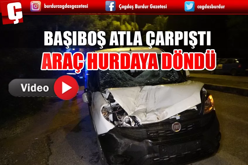 BAŞIBOŞ ATLA ÇARPIŞAN ARAÇ HURDAYA DÖNDÜ