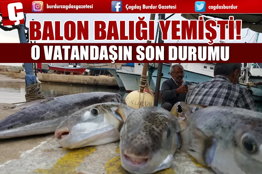 BALON BALIĞI YEMİŞTİ! O VATANDAŞIN SON DURUMU 
