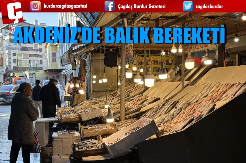 AKDENİZ'DE BALIK BEREKETİ