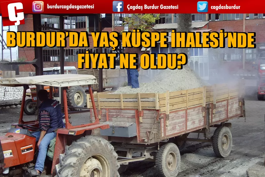 BURDUR’DA YAŞ KÜSPE İHALESİ’NDE FİYAT NE OLDU?