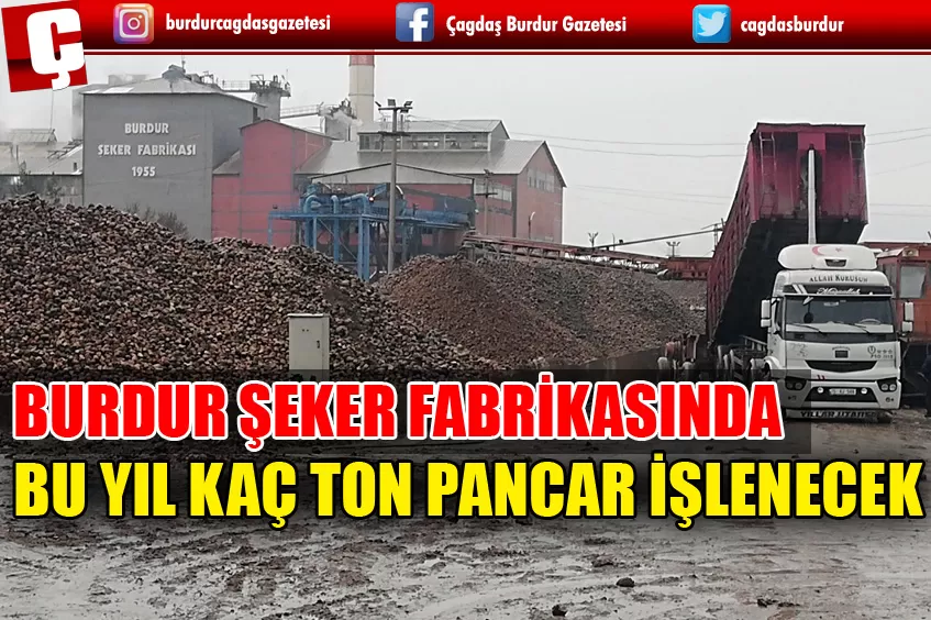 BURDUR ŞEKER FABRİKASINDA BU YIL 815 BİN TON PANCAR İŞLENECEK