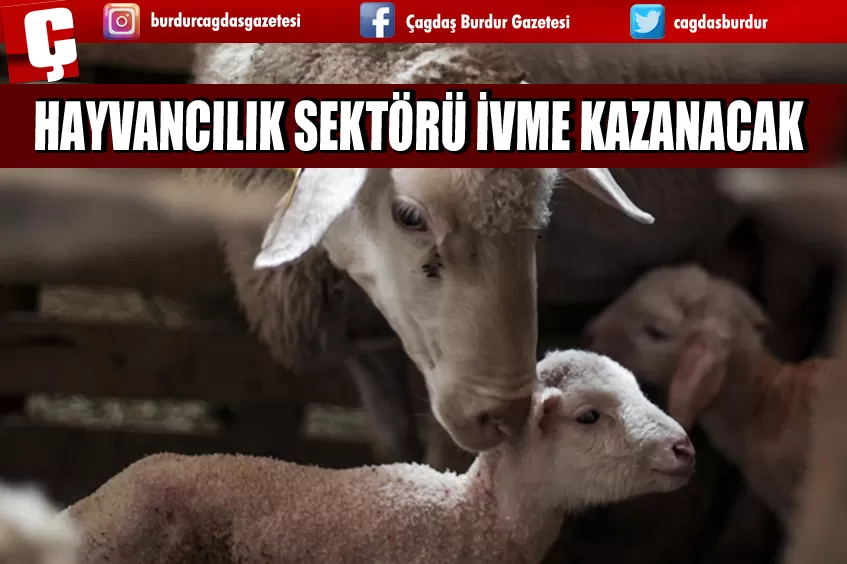 HAYVAN YETİŞTİRİCİLERİ, YENİ YOL HARİTASININ SEKTÖRE İVME KAZANDIRACAĞI GÖRÜŞÜNDE