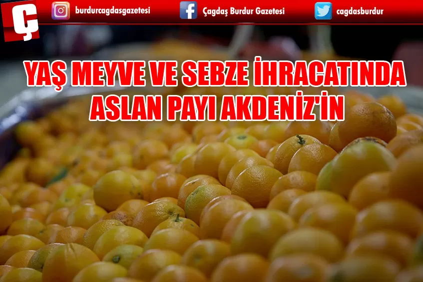 YAŞ MEYVE VE SEBZE İHRACATINDA ASLAN PAYI AKDENİZ'İN