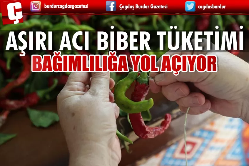 AŞIRICI ACI BİBER TÜKETİMİ BAĞIMLILIĞA YOL AÇIYOR