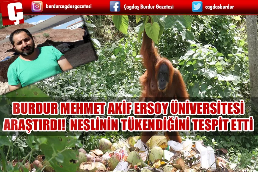 BURDUR MEHMET AKİF ERSOY ÜNİVERSİTESİ DR.ÖĞRETİM ÜYESİ YAŞAMIŞ EN BÜYÜK PRİMATIN İKLİM DEĞİŞİKLİĞİ NEDENİYLE YOK OLDUĞUNU TESPİT ETTİ