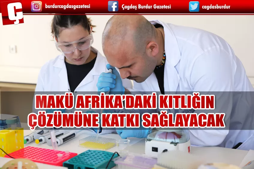 MAKÜ’LÜ BİLİM İNSANLARININ PROJESİ AFRİKA’DAKİ KITLIĞIN ÇÖZÜMÜNE KATKI SAĞLAYACAK