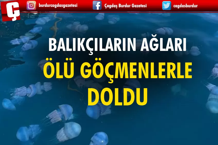 AKDENİZ'DE AVLANAN BALIKÇILARIN AĞLARI ÖLÜ GÖÇMEN DENİZANALARIYLA DOLDU