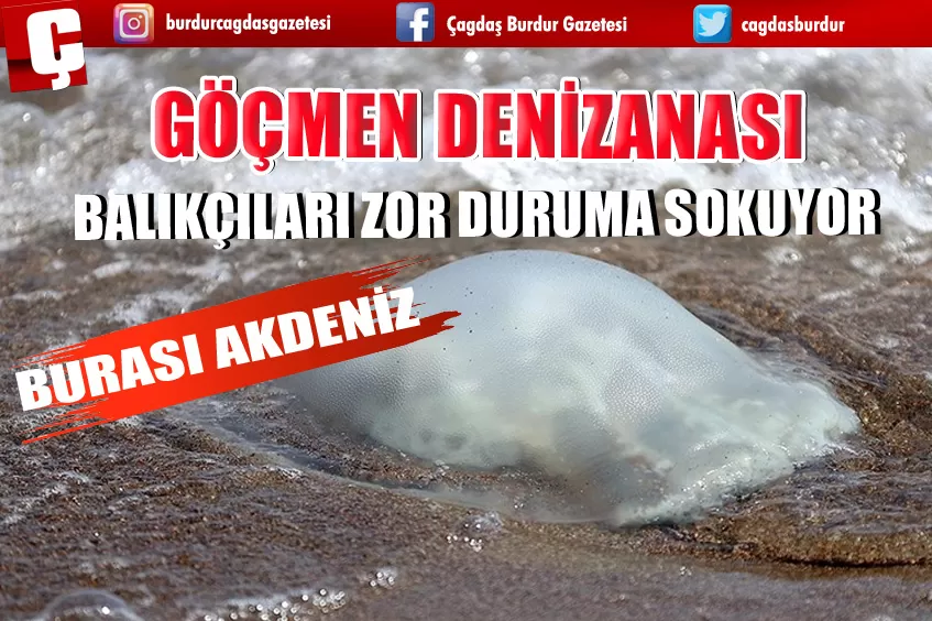 GÖÇMEN DENİZANASI BALIKÇILARI ZOR DURUMA SOKUYOR 