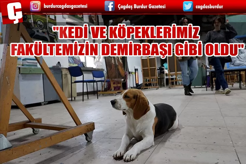 RESİM ÇALIŞMALARINI FAKÜLTENİN MASKOTU KEDİ VE KÖPEKLER EŞLİĞİNDE YAPIYORLAR