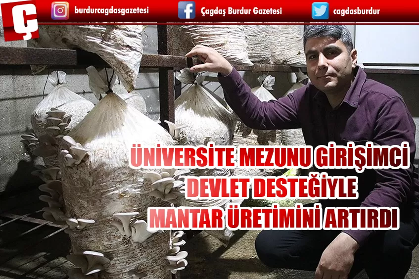 ÜNİVERSİTE MEZUNU GİRİŞİMCİ DEVLET DESTEĞİYLE MANTAR ÜRETİMİNİ ARTIRDI