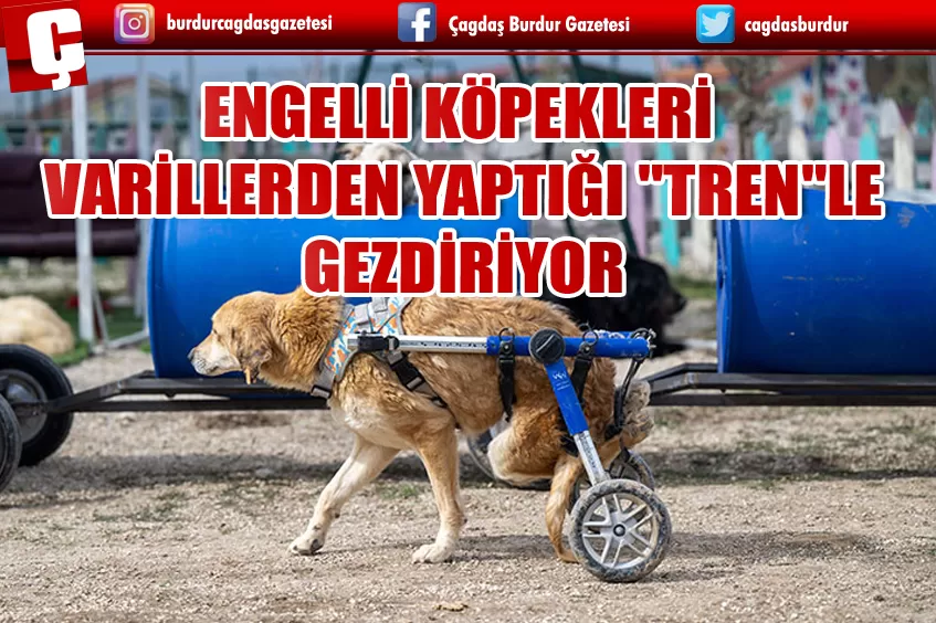 ENGELLİ KÖPEKLERİ VARİLLERDEN YAPTIĞI 