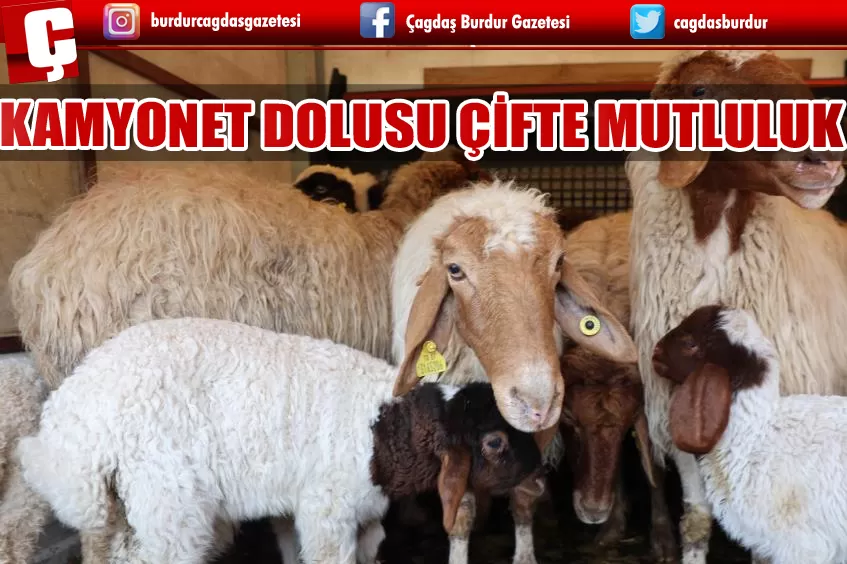 10 KUZUSU TELEF OLAN ÇİFTÇİYE, KAMYONET DOLUSU ÇİFTE MUTLULUK