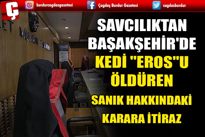 SAVCILIKTAN BAŞAKŞEHİR'DE KEDİ 