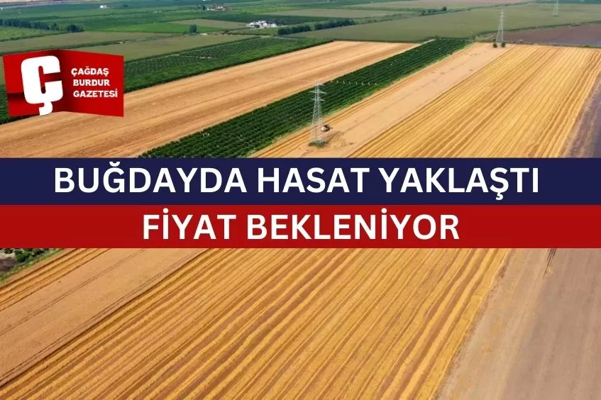 BUĞDAYDA HASAT YAKLAŞTI, FİYAT BEKLENİYOR