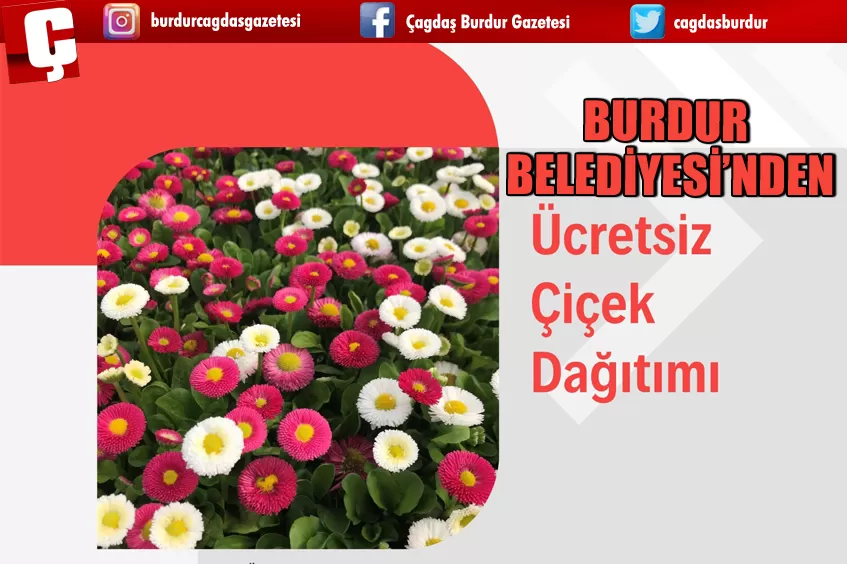 BURDUR BELEDİYESİ ÜRETTİĞİ ÇİÇEKLERİ, ÜCRETSİZ DAĞITACAK