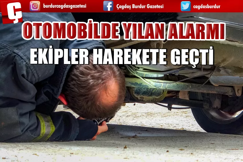 OTOMOBİLDE YILAN ALARMI EKİPLERİ HAREKETE GEÇİRDİ 