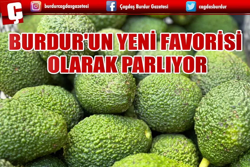 BURDUR PAZARLARINDA HASS AVOKADO TALEBİ ARTIYOR