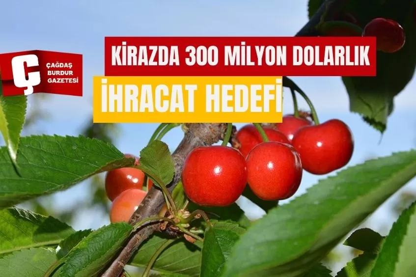 KİRAZDA 300 MİLYON DOLARLIK İHRACAT HEDEFİ