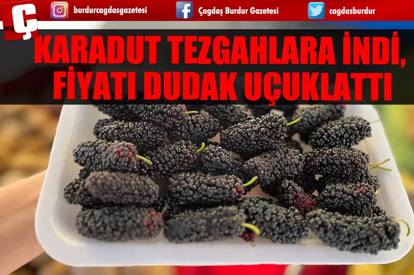 KARADUT TEZGAHLARA İNDİ, FİYATI DUDAK UÇUKLATTI