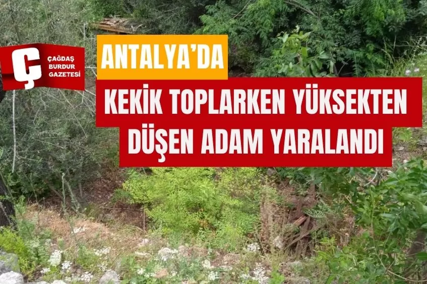 KEKİK TOPLARKEN YÜKSEKTEN DÜŞEN ADAM YARALANDI