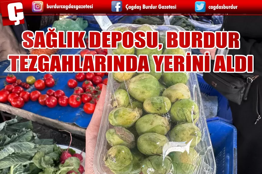 BURDUR'DA SAĞLIK DEPOSU BRÜKSEL LAHANASI TEZGAHLARDA YERİNİ ALDI