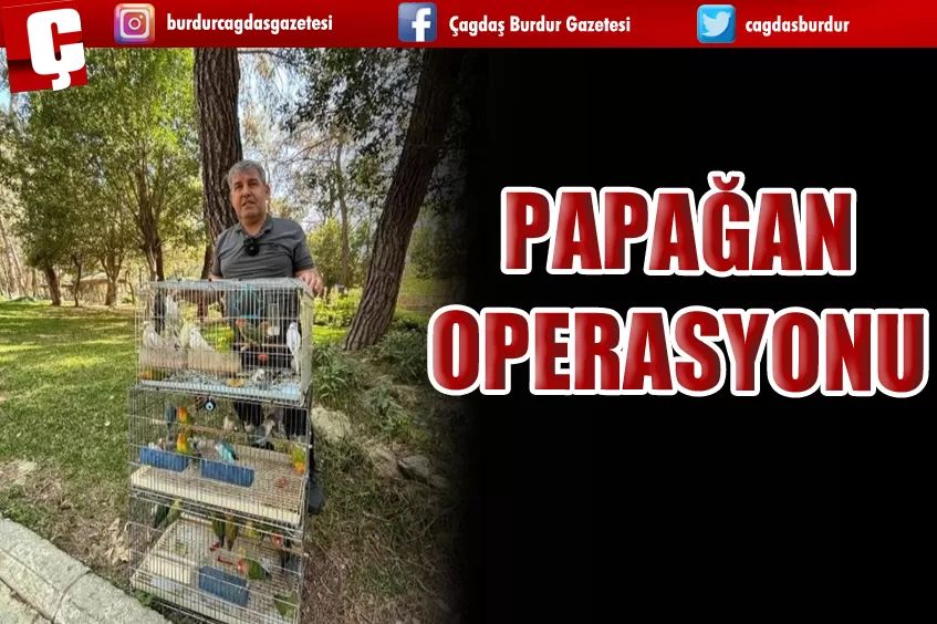 PAPAĞAN OPERASYONU 