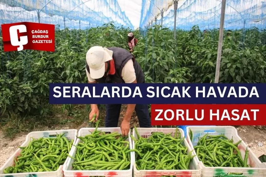 SERALARDA SICAK HAVADA ZORLU HASAT