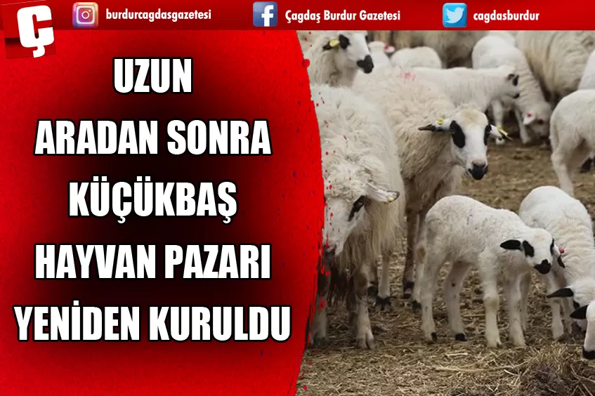 UZUN ARADAN SONRA KÜÇÜKBAŞ HAYVAN PAZARI YENİDEN KURULDU