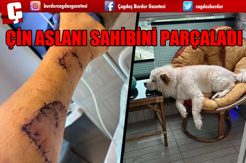 ÇİN ASLANI SAHİBİNİ PARÇALADI