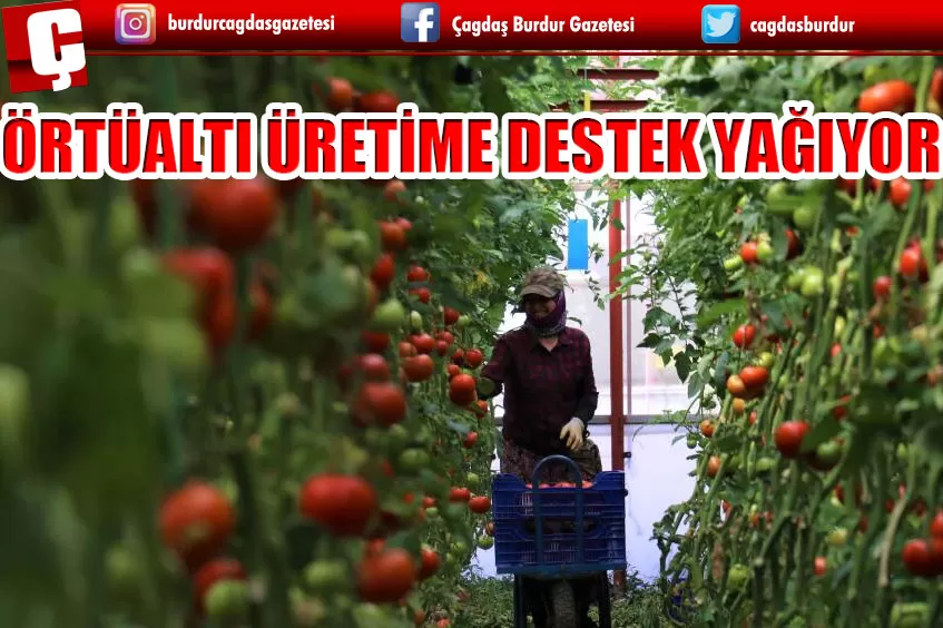 ÖRTÜALTI ÜRETİME DESTEK YAĞIYOR