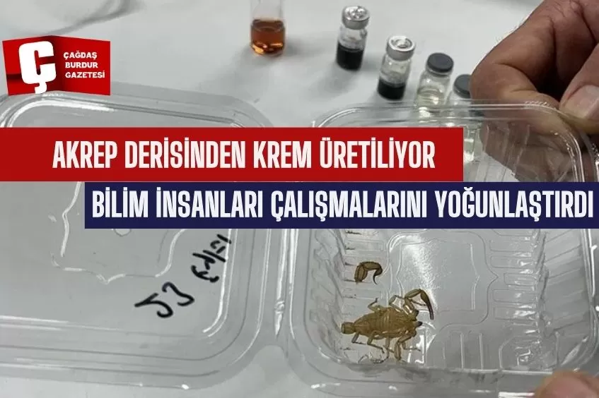 AKREP DERİSİNDEN KREM ÜRETİYORLAR