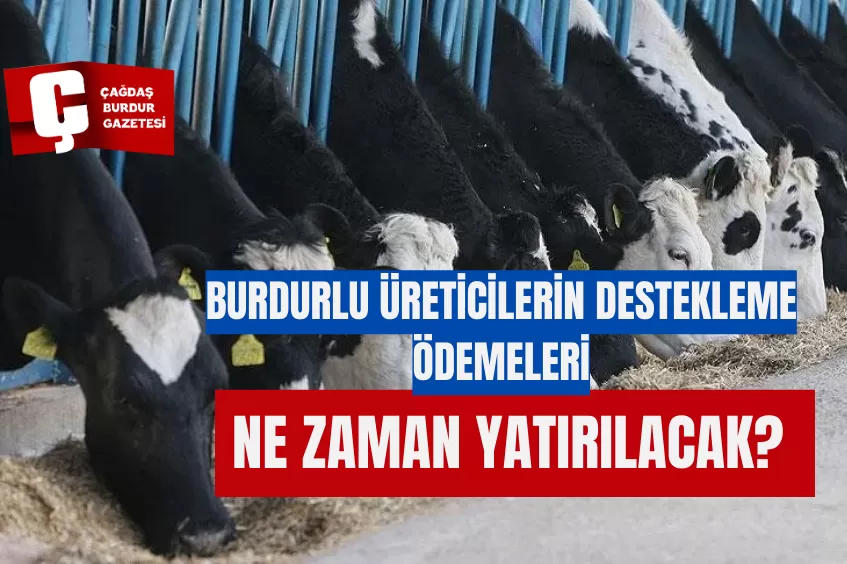 BURDURLU ÜRETİCİLERİN DESTEKLEME ÖDEMELERİ NE ZAMAN YATIRILACAK? 