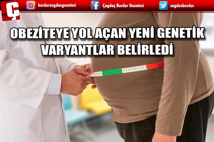 BİLİM İNSANLARI, OBEZİTEYE YOL AÇAN YENİ GENETİK VARYANTLAR BELİRLEDİ